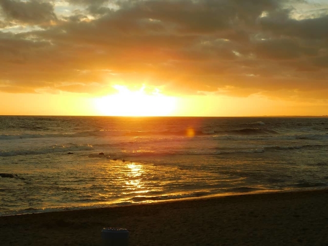 Playa Antoniopolis Rocha