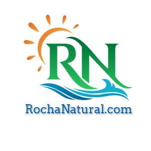 Alquileres y ventas en Rocha